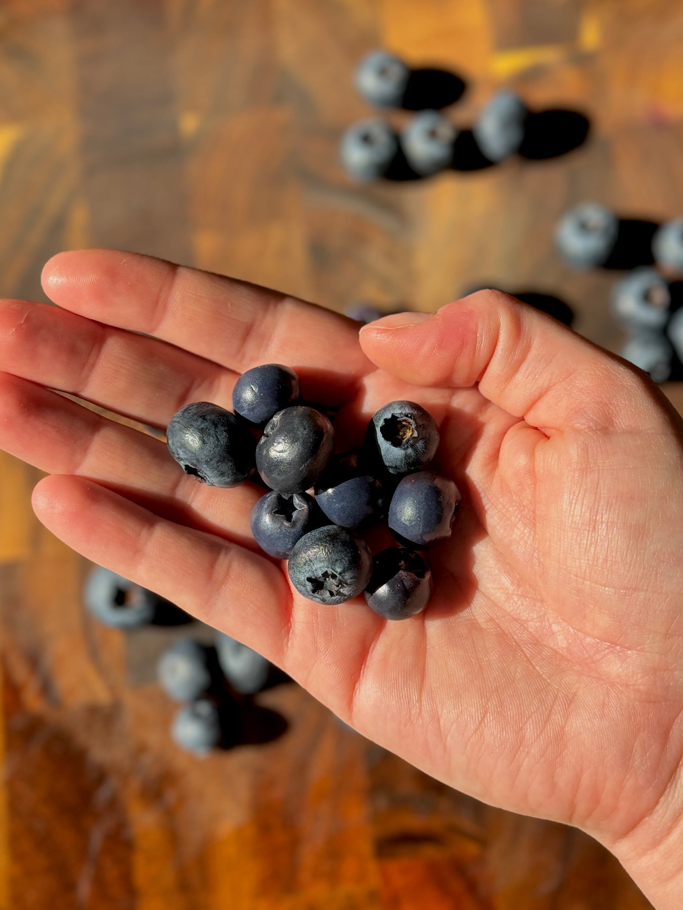 Blueberries | Statement Ohrringe aus Polymer Clay | Creative Studio Anni