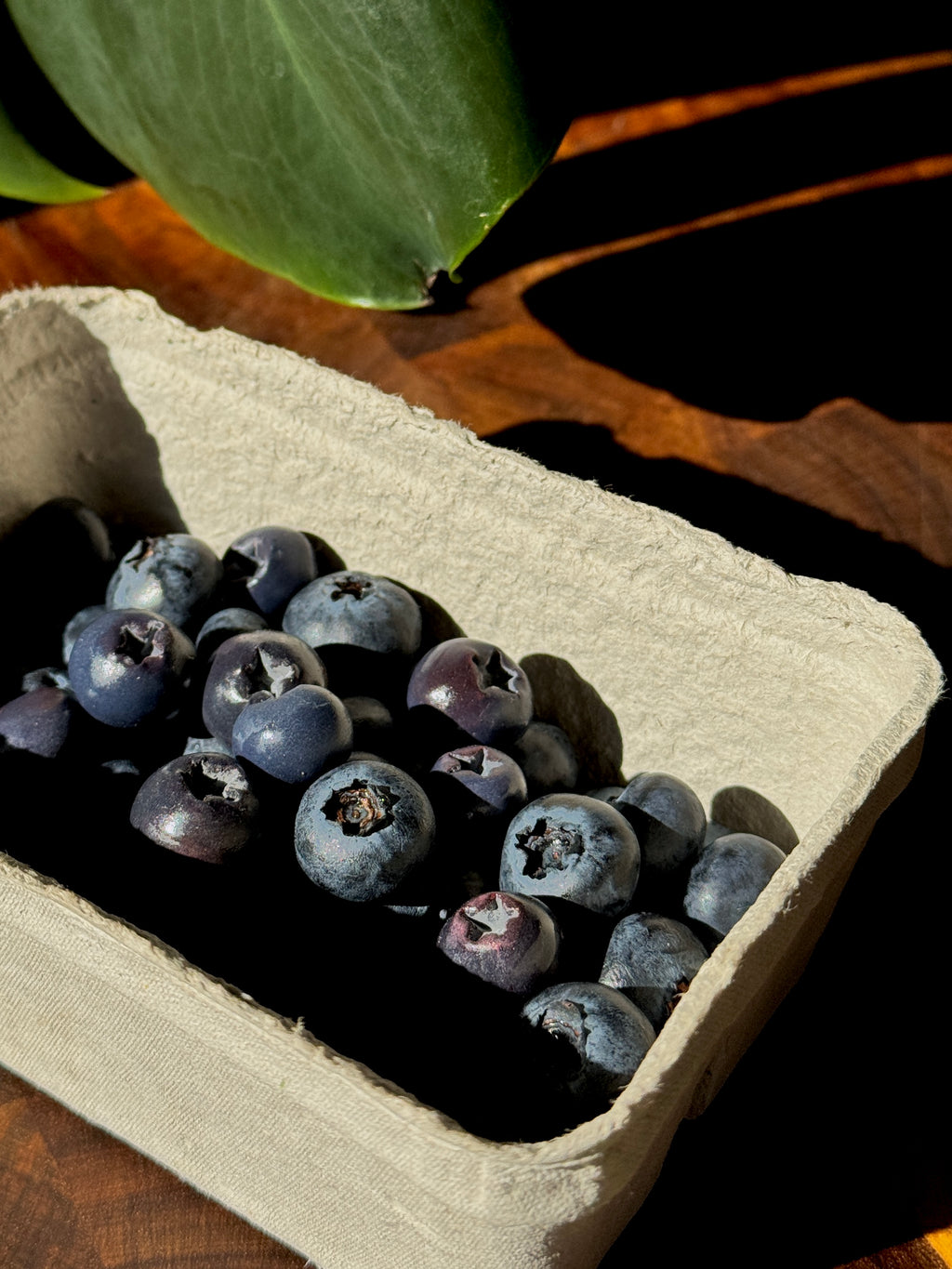 Blueberries | Statement Ohrringe aus Polymer Clay | Creative Studio Anni