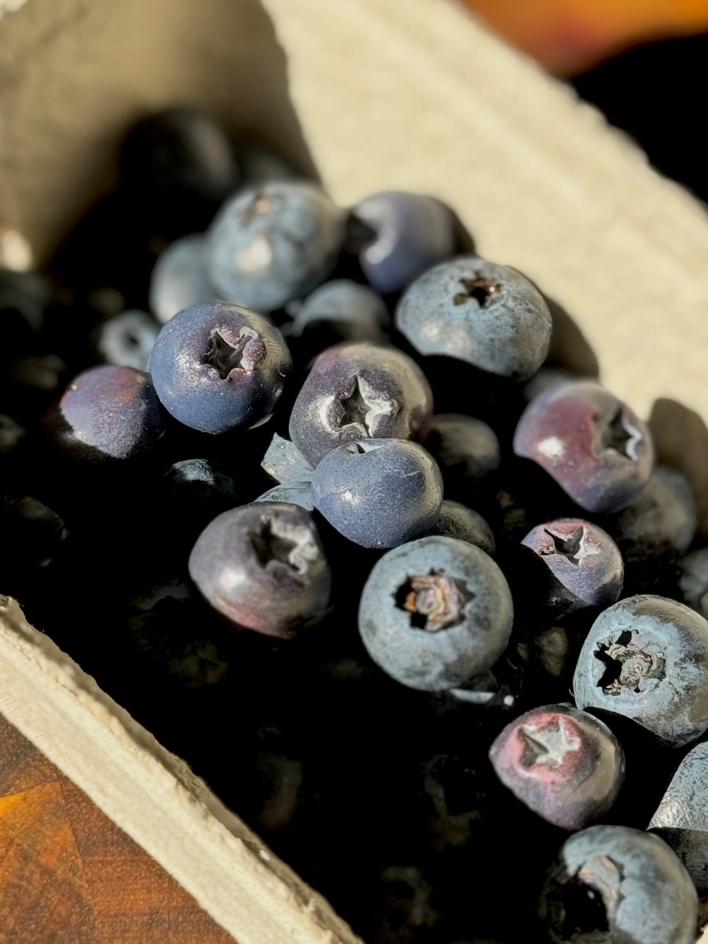 Blueberries | Statement Ohrringe aus Polymer Clay | Creative Studio Anni