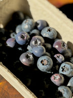 Blueberries | Statement Ohrringe aus Polymer Clay | Creative Studio Anni
